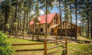 A cozy cabin nestled in the woods, featuring a charming red roof.